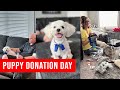 Bear&#39;s Donation Day