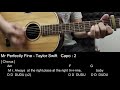 Mr Perfectly Fine Taylor Swift Guitar Tutorial Cover With Chords Lyrics mp3