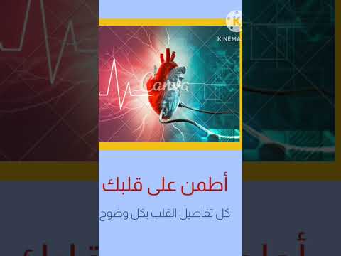 أهمية أشعة الإيكو