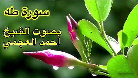 سورة طه كاملة بدون اعلانات بصوت الشخ احمد العجمي