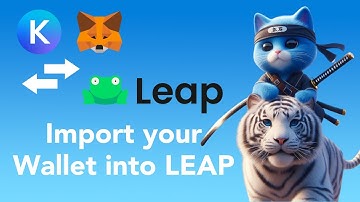 Importing Your Keplr or Metamask Wallet into Leap