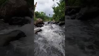 Download Lagu video relaksasi suara desiran air sungai #relaksasi MP3 Download Lagu video relaksasi suara desiran air sungai #relaksasi MP3