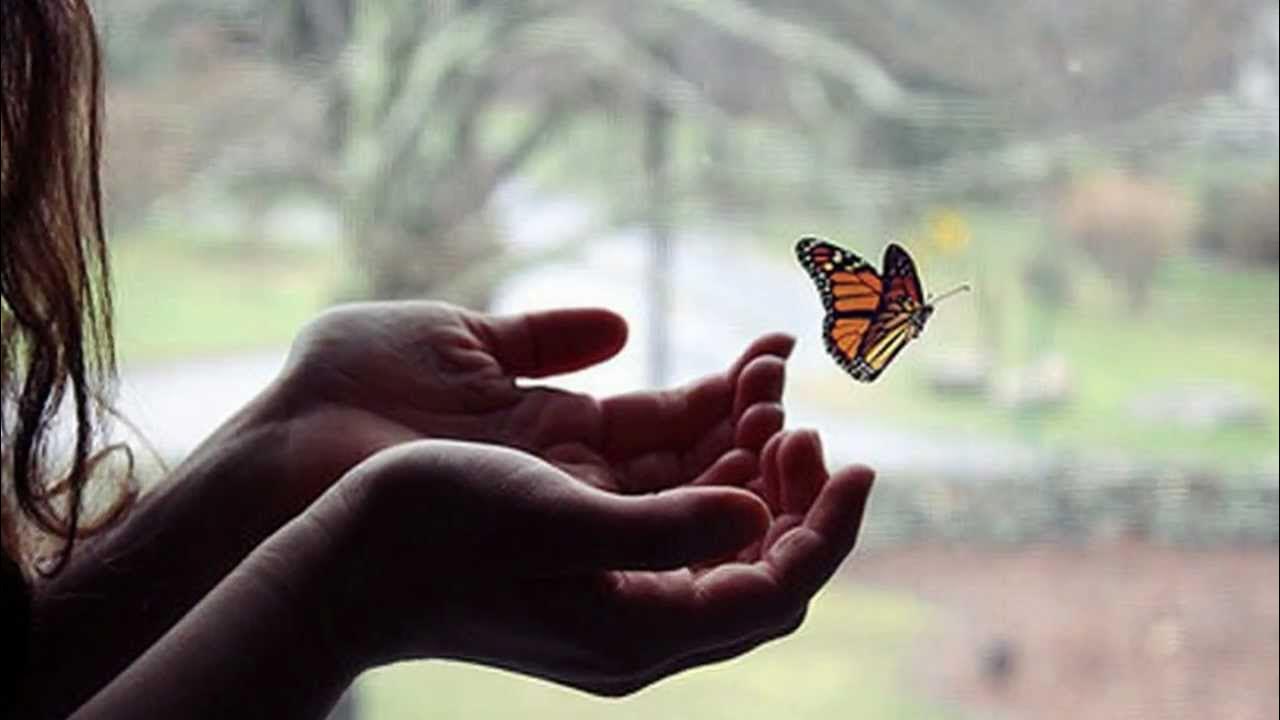 Лепесток в руке. Уезжаю в отпуск. Давайте отпустим всех. Уметь отпускать людей. Давайте отпустим всех.