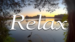 Chill Beats Timelapses Lake Sunrises, Sunsets, Wildlife