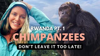 Trekking in Rwanda Part 1 | Chimpanzees in Nyungwe National Park (& The Epic Suspension Bridge!)