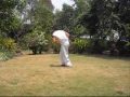 Spinning Hook Kick (Yan Gar Chuan)