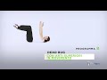 Progetto Scienza dello Sport FISR - Programma B dead bug