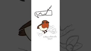 Some Birds Have Written Notations To Help Remember Their Songs, Others Are A Little Too Chaotic.