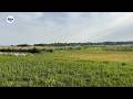 Feest en onderhoud in Nationaal Park De Alde Feanen: ''Ast neat dochst, groeit it gebiet ticht''