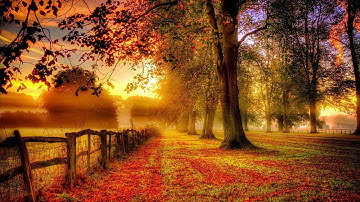 Thumbnail of Zero 7 - In The Waiting Line [HD]