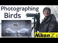 Wildlife Photography at Pennington Flash Nature Reserve - Nikon Z8