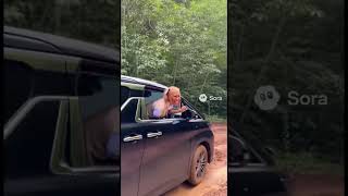 パパの残クレアルファードでクロカン! #tiktok #アルファード