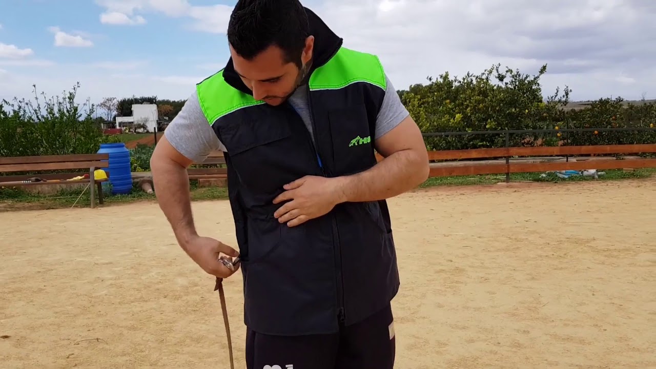 Chalecos para adiestramiento canino - YouTube