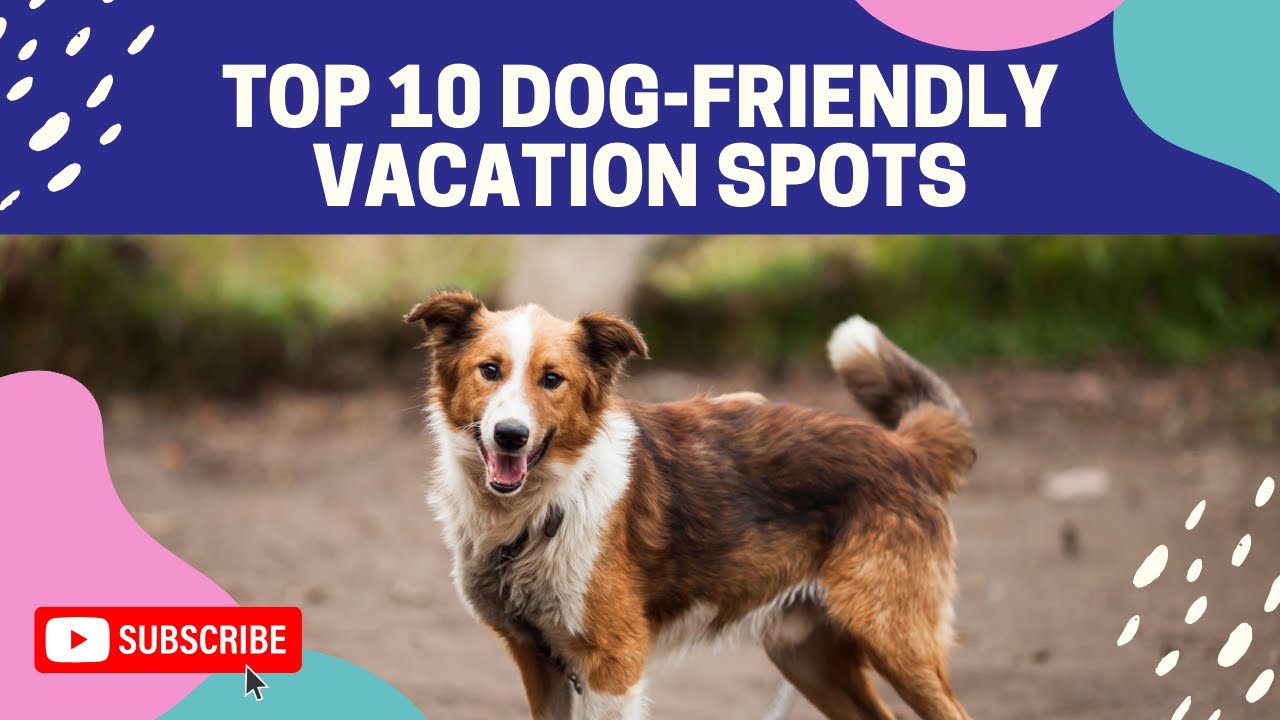 Top 10 Dog-Friendly Vacation Spots