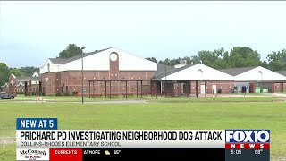 Dog attack at Collins-Rhodes Elementary School injures two students and a teacher
