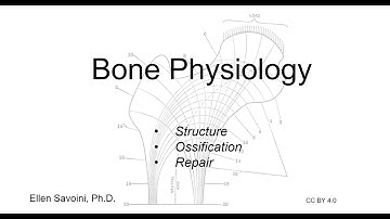 Bone Physiology (BIO 201 Human Anatomy & Physiology I)