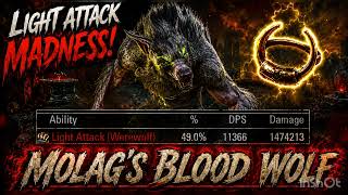 ESO: LIGHT ATTACK BUSTED Sorc Werewolf PvP Build TheoryCraft (U50)🐺