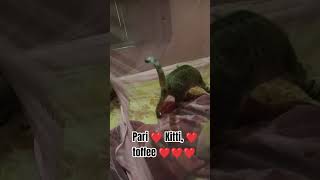 #aftersukoon #catbehavior #Meri jindagi Hai bacchiya❤️❤️❤️