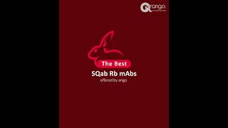 2021 New SQab clone Recombinant Rabbit mAbs - arigo minifilm