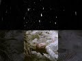 Want that cinematic rain look ?Vfx, filmmaker, filmmaking, capcut #vfx #filmmaking