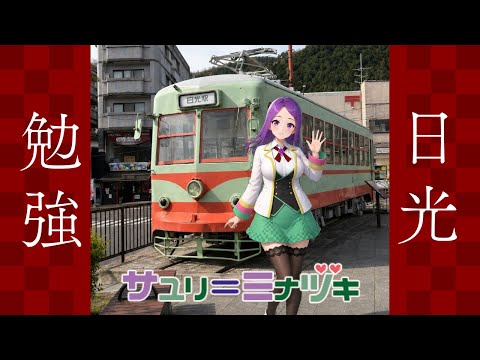 【日光雑談】 日光東照宮周辺を知りたい！