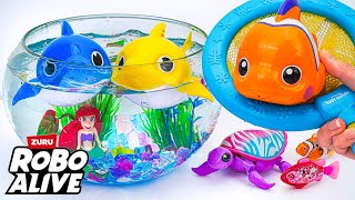[😽toy asmr😽] Robo Alive BABY SHARK & Little Live Pets Lil' Turtle & Aquarium ASMR ✨ No talking🔇 screenshot 2