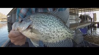 Winter Crappie Fishing For Slabs Part 2! Arkansas Crappie Fishing December 2016