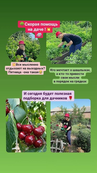 Суставы болят.Артроз. Набор дачника.#артрит #суставы - YouTube