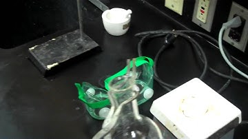 Florence Flask Video