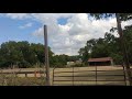 Massive Overgrown Field Transformation | Before &amp; After Mowing Results!