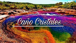 The Rainbow River - Caño Cristales