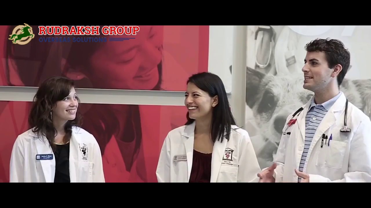 rudraksh group immigration | RudrakshGroup | Rudraksh Group Mohali | Rudraksh Immigration