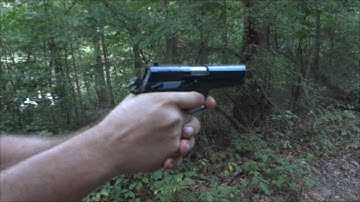 Korean Daewoo DH40 .40 S&W