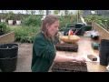 Sowing Squashes &amp; Pumpkins
