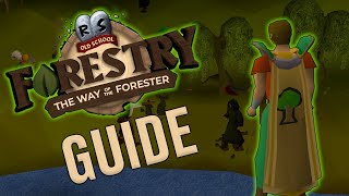 The Ultimate Beginners Guide to Forestry Expansion in OSRS