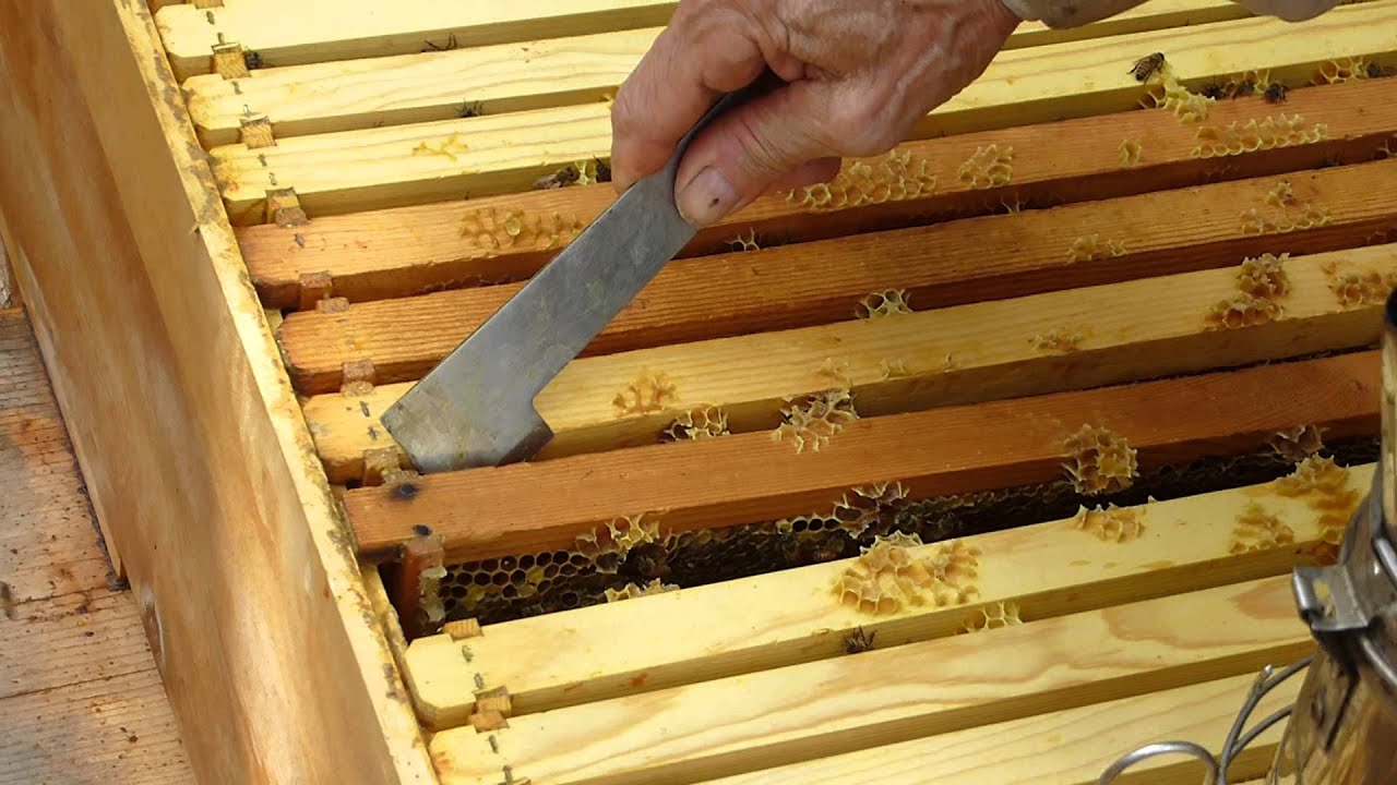 long lang deep oct 2