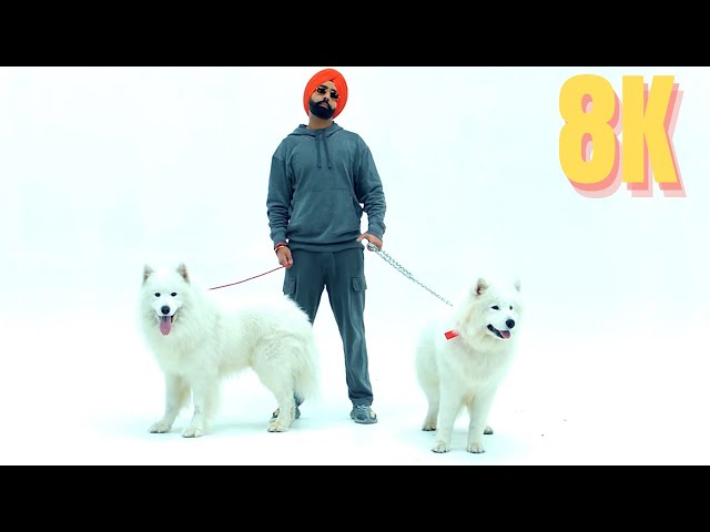 Teri Jatti - Ammy Virk Full Video Hindi Punjabi Songs in 8K / 4K Ultra HD 60 FPS class=