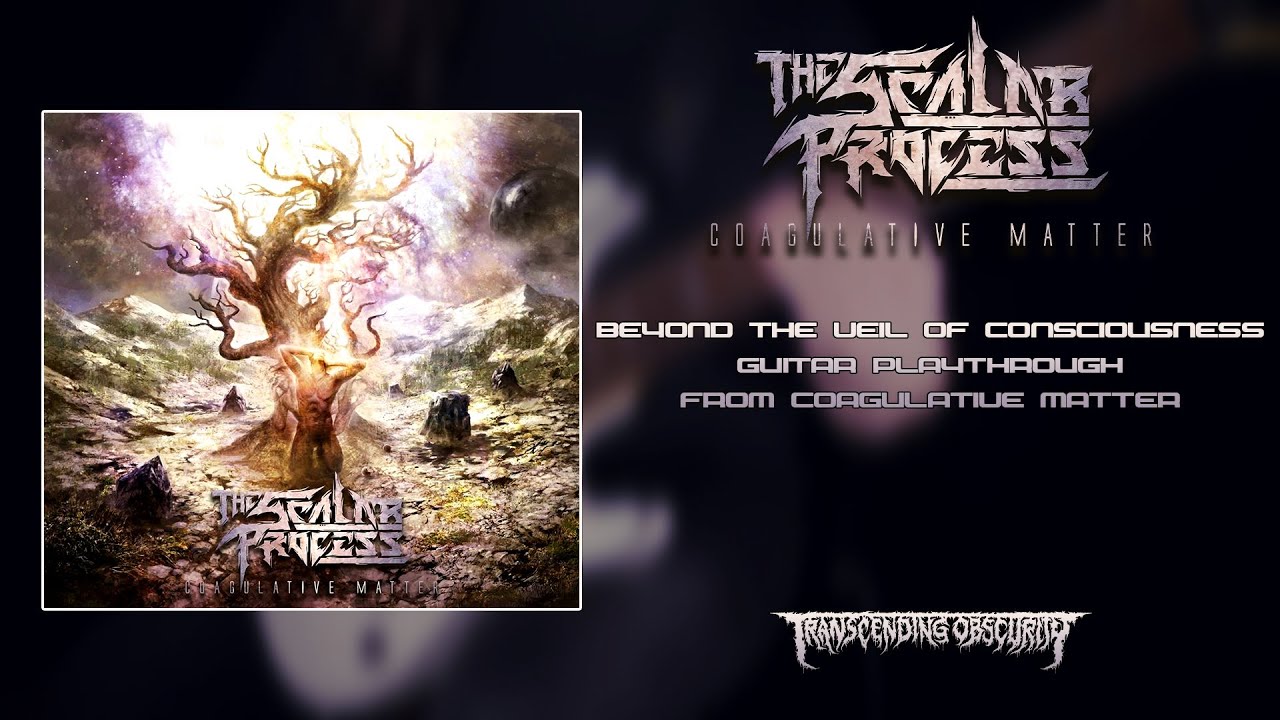 THE SCALAR PROCESS (France) - Beyond The Veil of Consciousness GUITAR PLAYTHROUGH