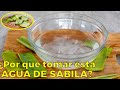 9 beneficios del agua de sabila y cmo prepararla