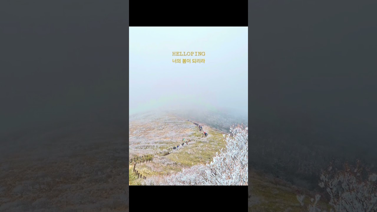 너의 봄이 되리라 Helloping