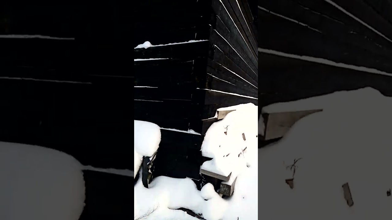 Московская область, деревня Новогорбово, участок 10.