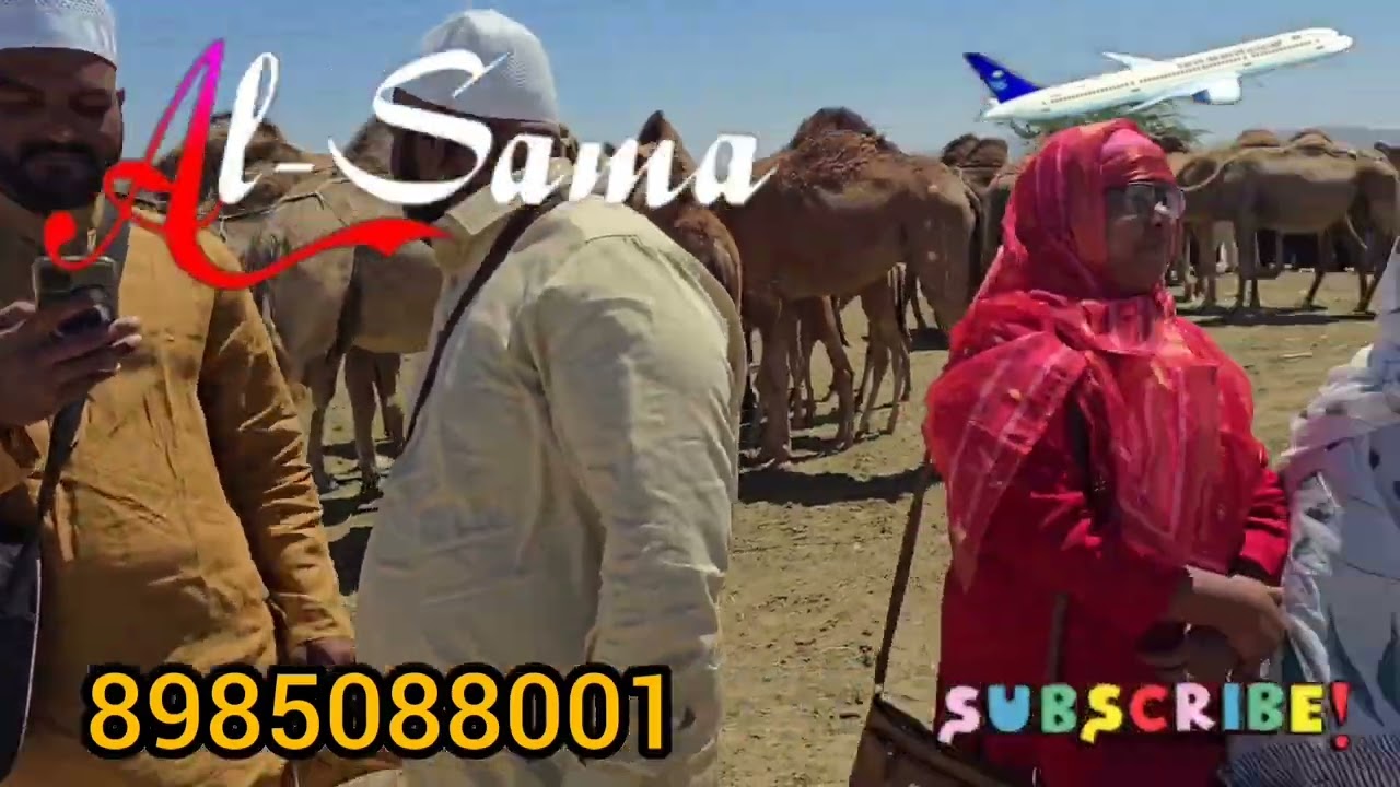 AL-SAMA TOURS & TRAVELS 61 Umrah Batch