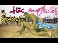 all| pakistan| rustam|dangal pakistan kushti|medopehwan |vs| shahedpehlwanpchar2018|