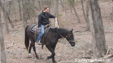 Mischiefs Little Bit O Rio***For info, price, etc., go to our website***ValleyViewRanch.net