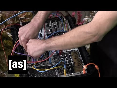 Daedelus 'Monstrous Moonshine'