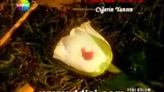 Ozan Emin Demi̇r - Ciğerin Yansın