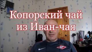 Чай из кипрея (иван-чай), способ заготовки и приготовления Чай из кипрея (иван-чай), способ заготовки и приготовления