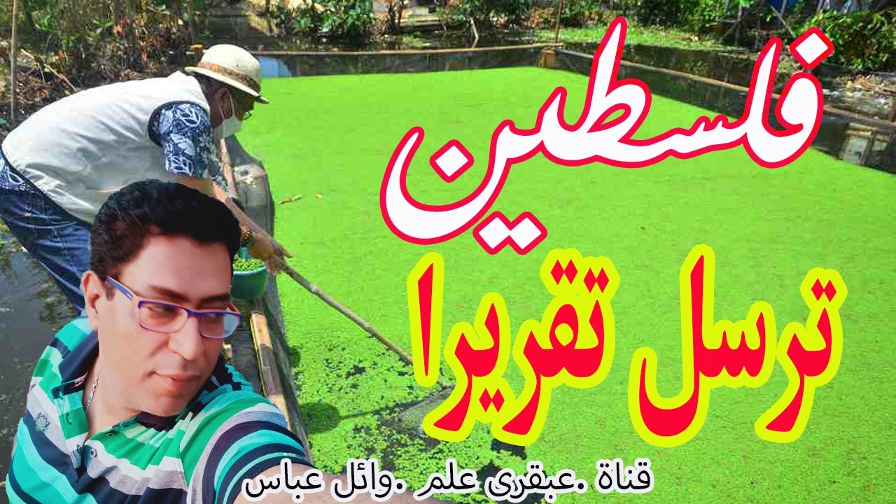 فلسطين ترسل تقريرا عن الازولا.  Azolla . قناة عبقرى علم