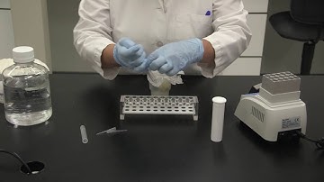 DON Flex Test Tutorial