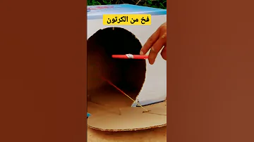 اغرب فخ لصيد الطيور من الكرتون 